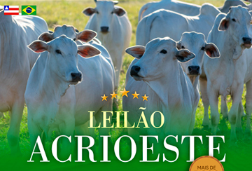 LEILÃO ACRIOESTE