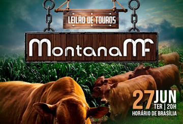 LEILÃO DE TOUROS MONTANA MF