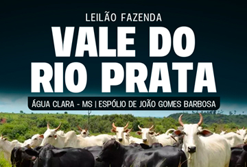 LEILÃO FAZENDA VALE DO RIO PRATA