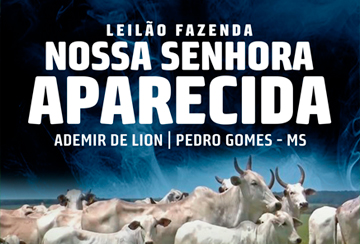 LEILÃO FAZENDA NOSSA SENHORA APARECIDA