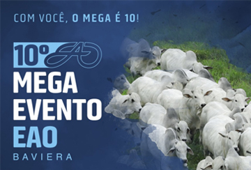 10º MEGA EVENTO EAO BAVIERA - 1ª ETAPA