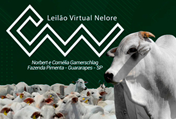 LEILÃO VIRTUAL NELORE CW - REPRODUTORES