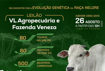 LEILÃO VL AGROPECUÁRIA E FAZENDA VENEZA