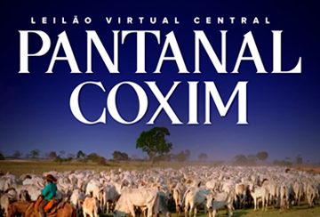 LEILÃO VIRTUAL CENTRAL PANTANAL COXIM