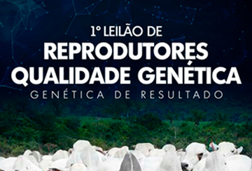 1º LEILÃO DE REPRODUTORES QUALIDADE GENÉTICA