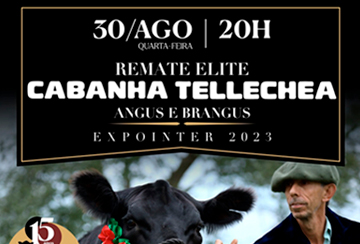 REMATE ELITE CABANHA TELLECHEA ANGUS E BRANGUS EXPOINTER 2023