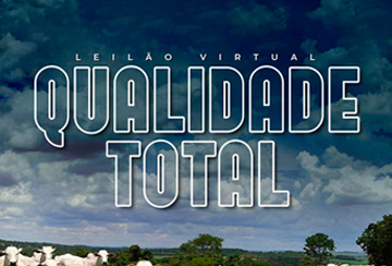 LEILÃO VIRTUAL QUALIDADE TOTAL