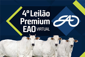 4º LEILÃO VIRTUAL PREMIUM EAO