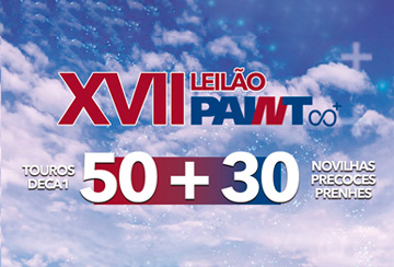 XVII LEILÃO PAINT