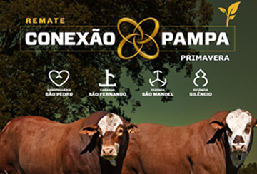 REMATE CONEXÃO PAMPA PRIMAVERA