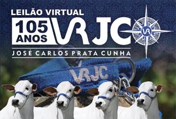 LEILÃO VIRTUAL VRJC