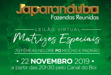 LEILÃO VIRTUAL MATRIZES ESPECIAIS JAPARANDUBA FAZENDAS REUNIDAS