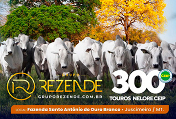 LEILÃO TOUROS GRUPO REZENDE