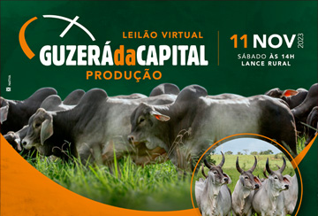 LEILÃO VIRTUAL GUZERÁ DA CAPITAL PRODUÇÃO