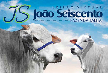 LEILÃO VIRTUAL JOÃO SEISCENTO - FAZENDA TALITA