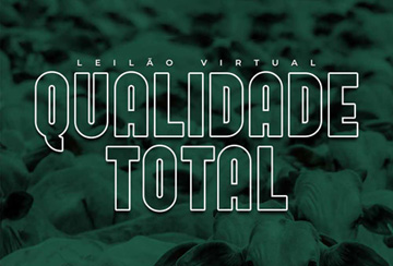 LEILÃO VIRTUAL QUALIDADE TOTAL