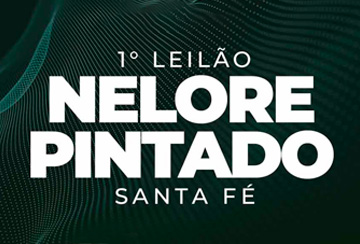 1º LEILÃO NELORE PINTADO SANTA FÉ