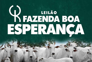 LEILÃO VIRTUAL FAZENDA BOA ESPERANÇA