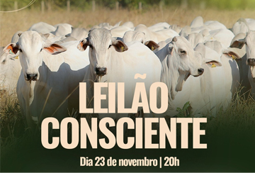 LEILÃO CONSCIENTE