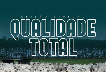 LEILÃO VIRTUAL QUALIDADE TOTAL