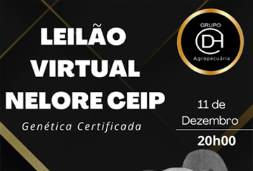 LEILÃO VIRTUAL NELORE CEIP DH AGROPECUÁRIA