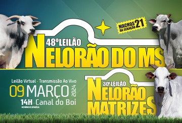 48º LEILÃO NELORÃO DO MS / 30º LEILÃO NELORÃO MATRIZES