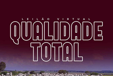 LEILÃO VIRTUAL QUALIDADE TOTAL