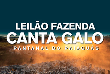 LEILÃO VIRTUAL FAZENDA CANTA GALO