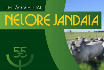 LEILÃO VIRTUAL NELORE JANDAIA