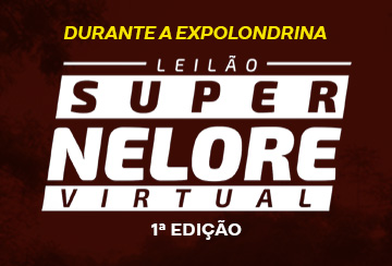 LEILÃO SUPER NELORE - 1ª EDIÇÃO MATRIZES