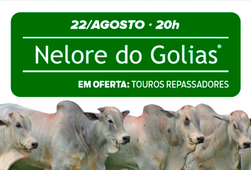 LEILÃO NELORE DO GOLIAS - TOUROS REPASSADORES