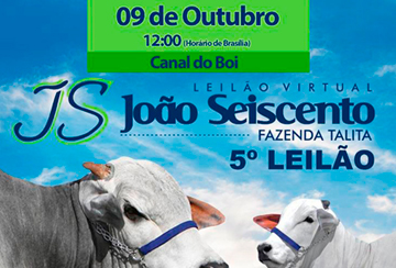 5º LEILÃO VIRTUAL JOÃO SEISCENTO - FAZENDA TALITA