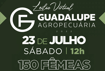 LEILÃO VIRTUAL GUADALUPE AGROPECUÁRIA - ETAPA FÊMEAS