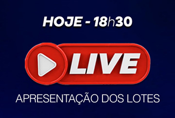 LIVE APRESENTAÇÃO DOS LOTES - LEILÃO S.O.S RIO GRANDE DO SUL