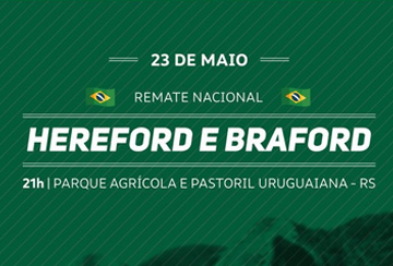 REMATE NACIONAL HEREFORD E BRAFORD