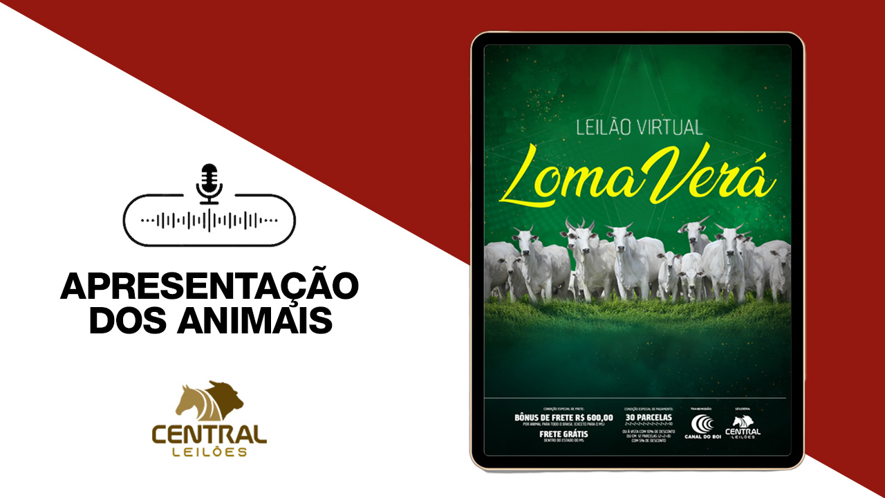 APRESENTAÇÃO DOS ANIMAIS - LEILÃO VIRTUAL LOMA VERÁ