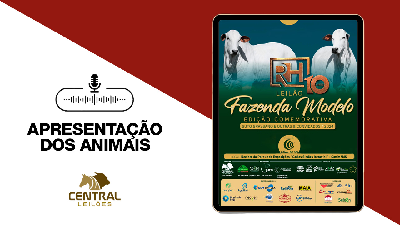 APRESENTAÇÃO DOS ANIMAIS -  LEILÃO FAZENDA MODELO EDIÇÃO COMEMORATIVA - GUTO GRASSANO E OUTRAS & CONVIDADOS