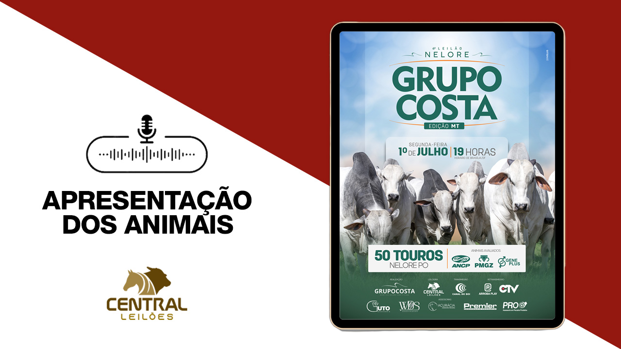 APRESENTAÇÃO DOS ANIMAIS - 4º LEILÃO NELORE GRUPO COSTA - EDIÇÃO MT