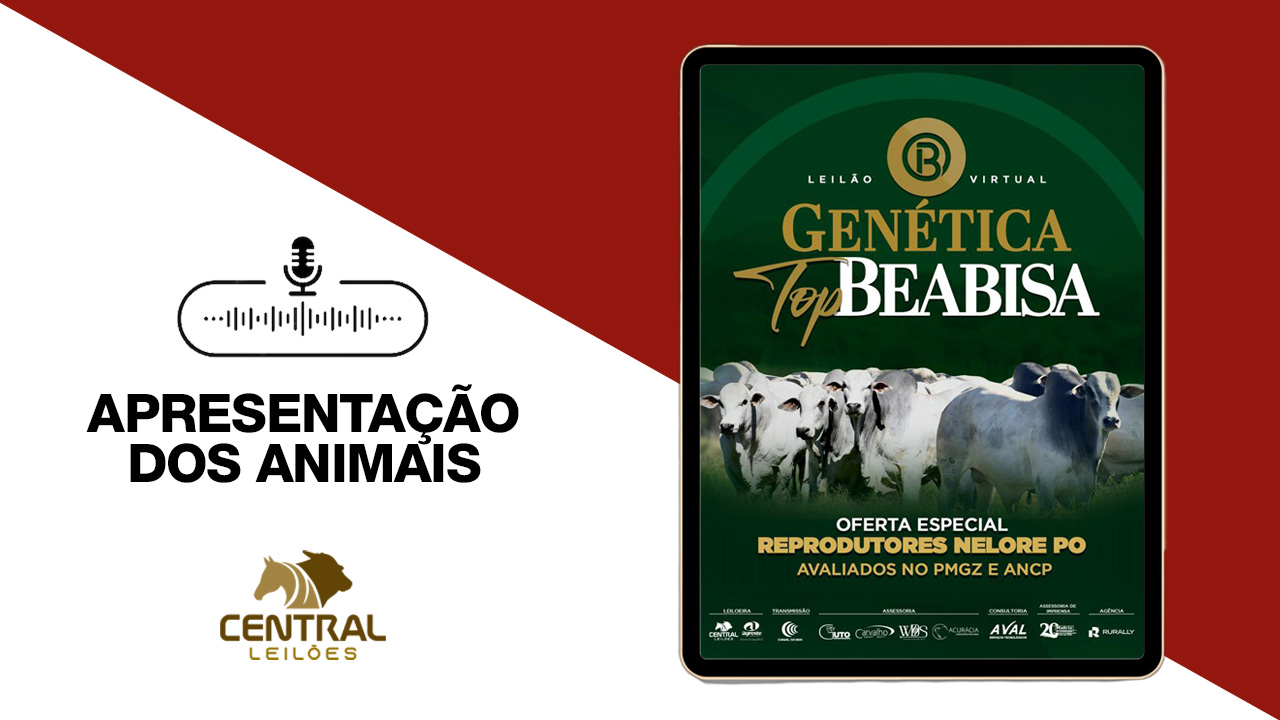 APRESENTAÇÃO DOS ANIMAIS -  LEILÃO GENÉTICA TOP BEABISA - REPRODUTORES