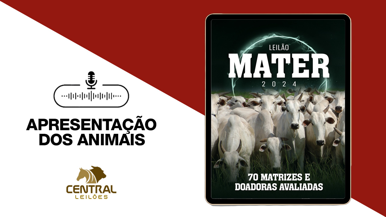 APRESENTAÇÃO DOS ANIMAIS -  LEILÃO MATER 2024