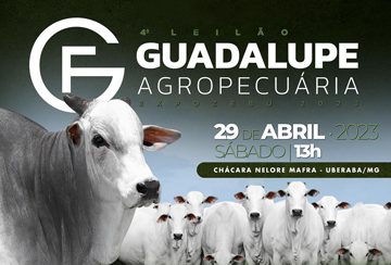 4º LEILÃO GUADALUPE AGROPECUÁRIA - EXPOZEBU 2023