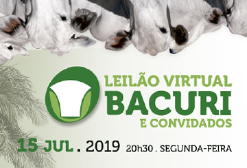 LEILÃO VIRTUAL BACURI E CONVIDADOS