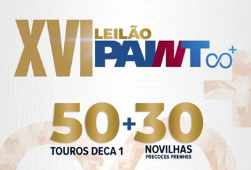 XVI LEILÃO PAINT