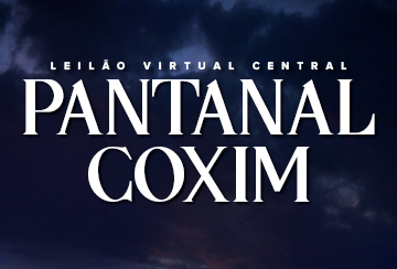 LEILÃO VIRTUAL CENTRAL - PANTANAL - COXIM